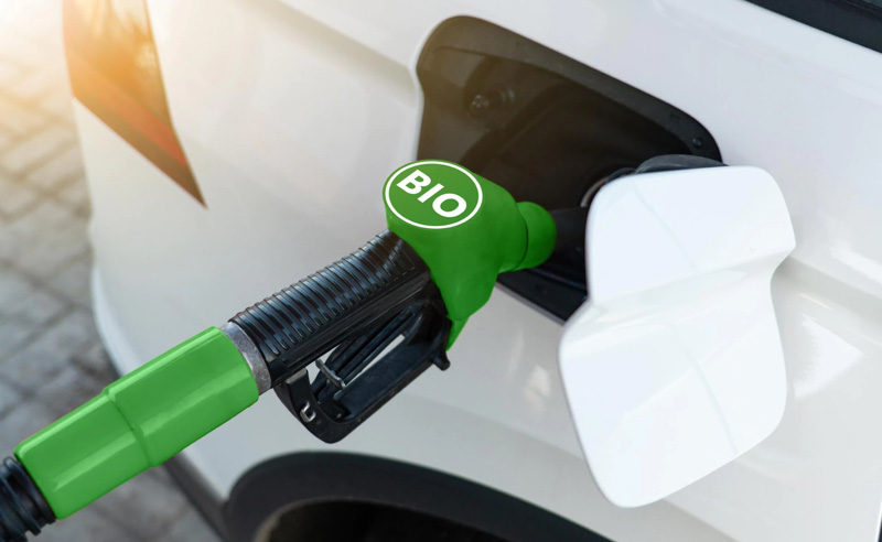 EEUU planea aumentar 10% el uso de biocombustibles