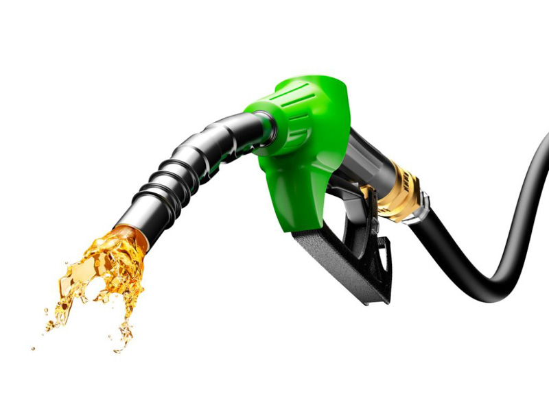 Decepción de productores de biodiesel 