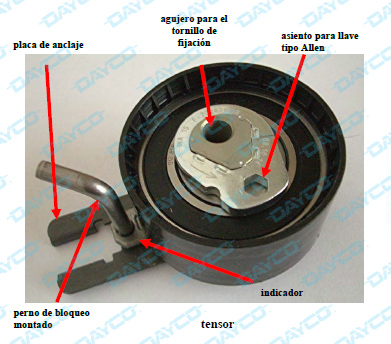 Información técnica Dayco: KTB 310