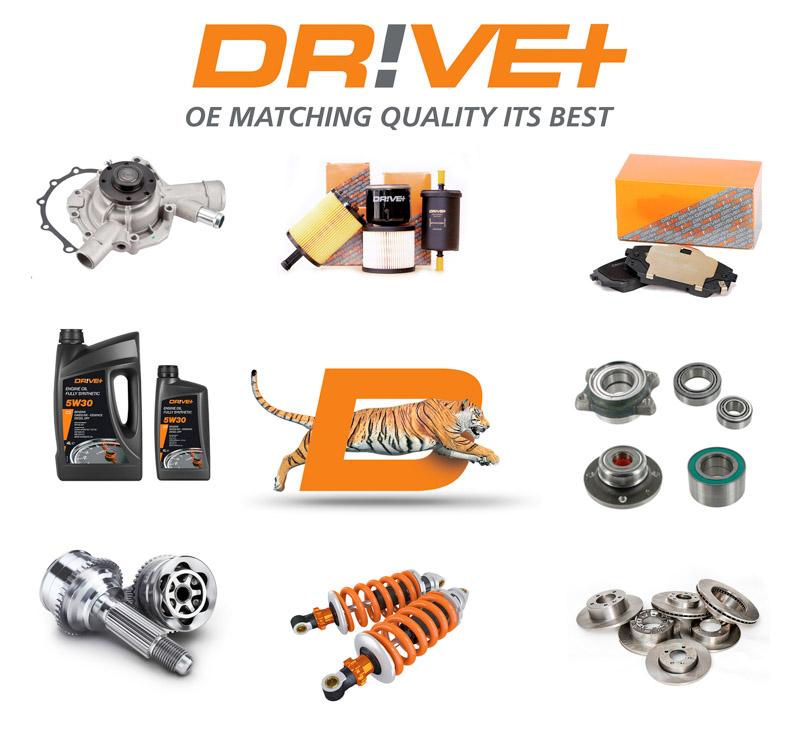 Nueva filial Nexus Automotive Argentina