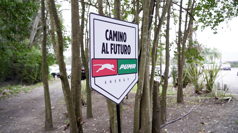 ''Camino al futuro''