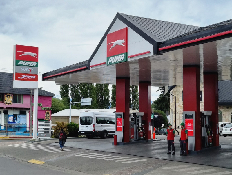 Puma Ñireco de Bariloche