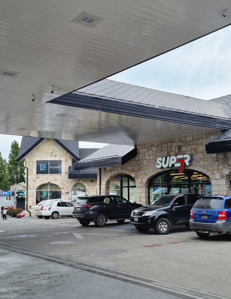 Puma Ñireco de Bariloche