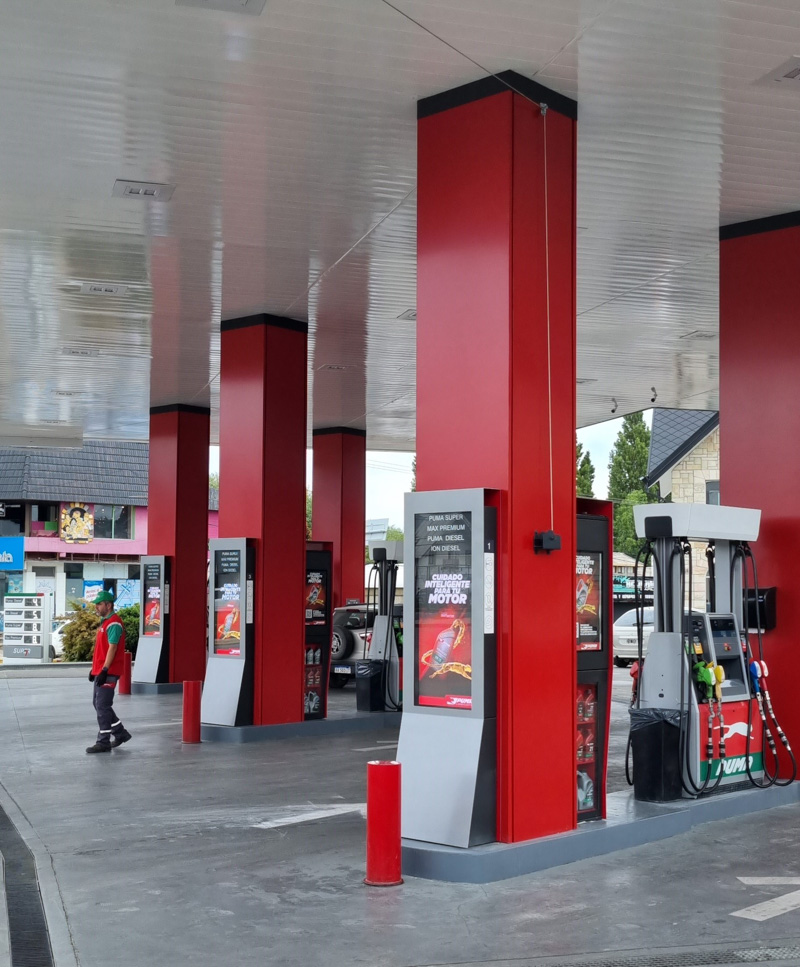 Puma Ñireco de Bariloche