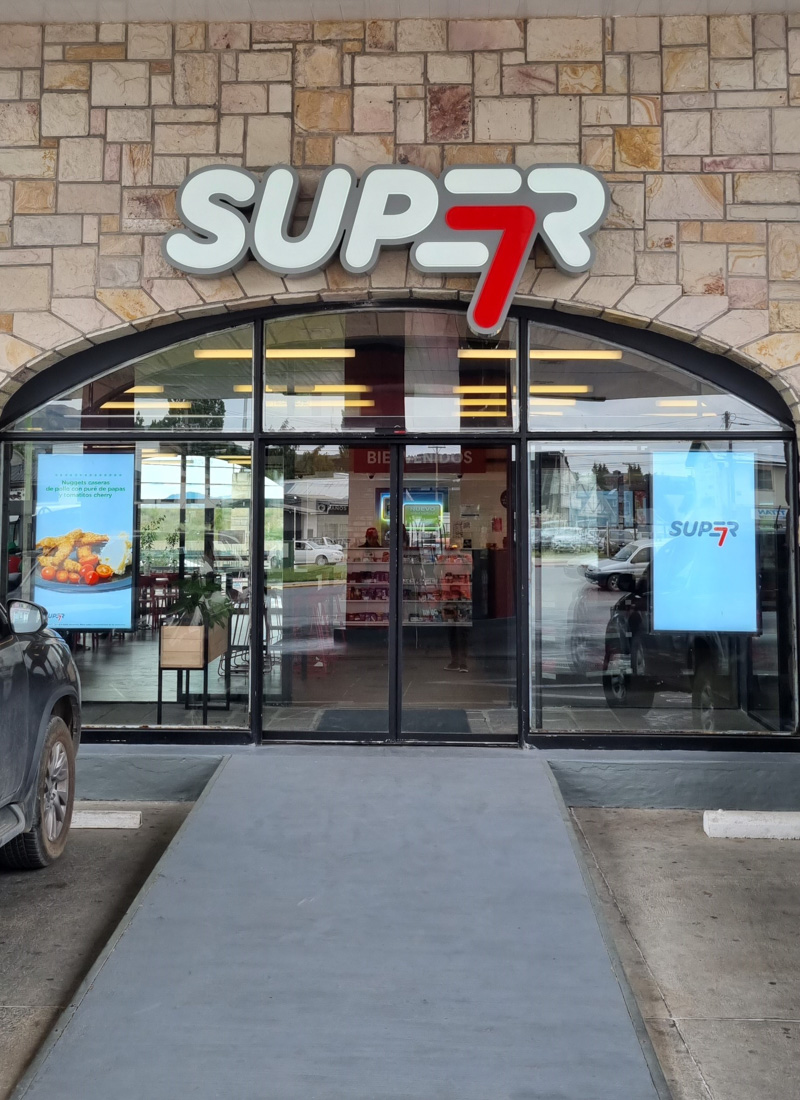 Puma Ñireco de Bariloche