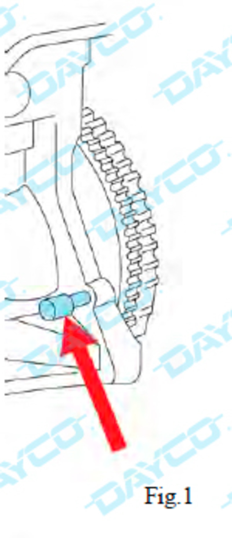 Dayco: Kit de distribución KTB321