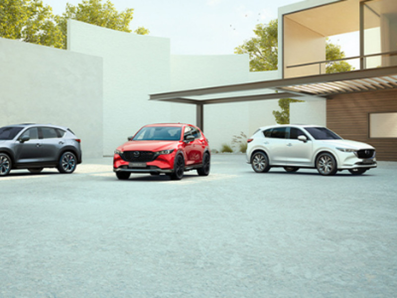 Las marcas preferidas de los colombianos