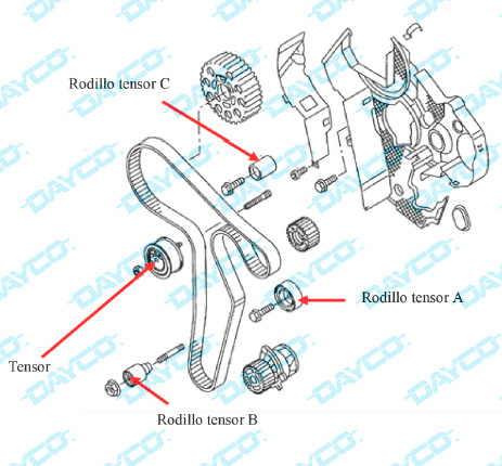 Dayco: información técnica KTB788