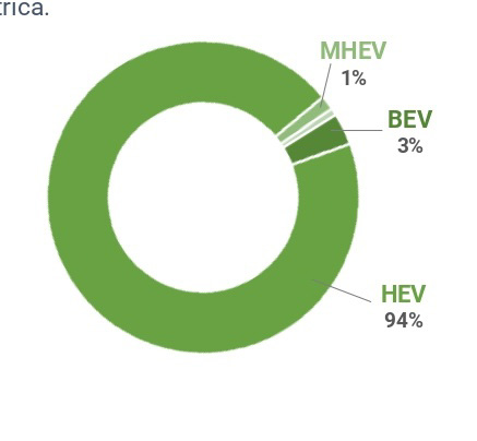 La movilidad eléctrica en Argentina