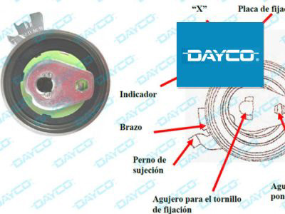 Dayco Kit de distribución KTB 221