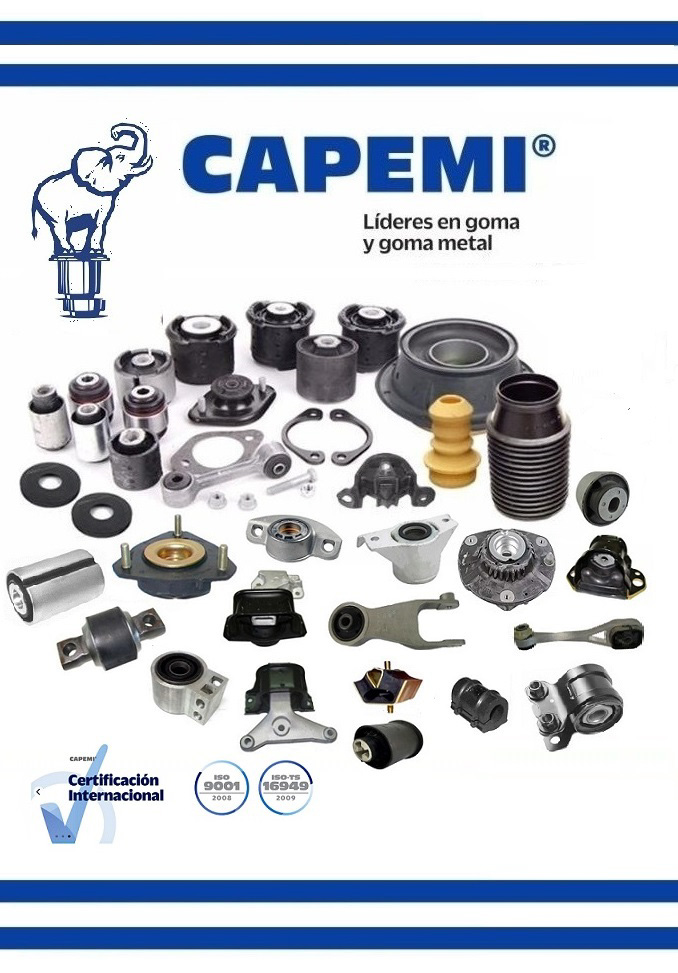 CAPEMI y los proyectos Argentinos