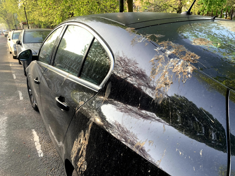 El verano y la pintura del auto