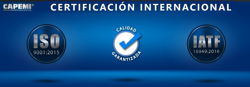 Nueva Página y Catálogo Interactivo CAPEMI