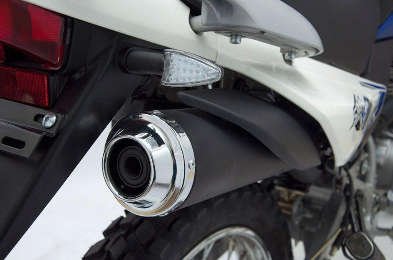 Ficha Técnica: Motomel SKUA 150 V6