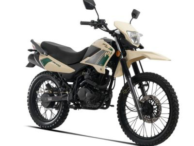 Ficha Técnica: Motomel SKUA 150 V6