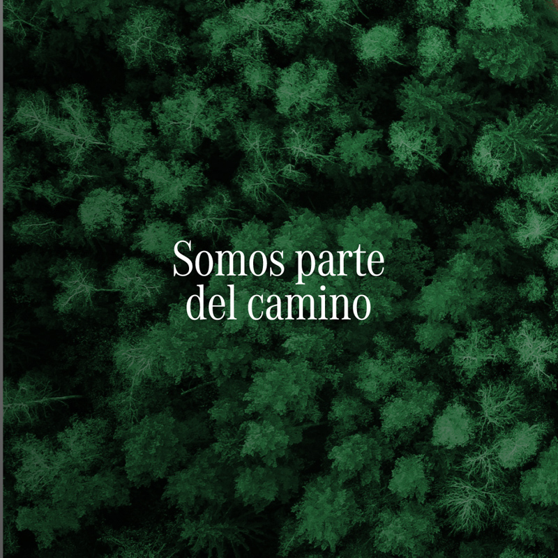 Mercedes-Benz planta un árbol por cada unidad