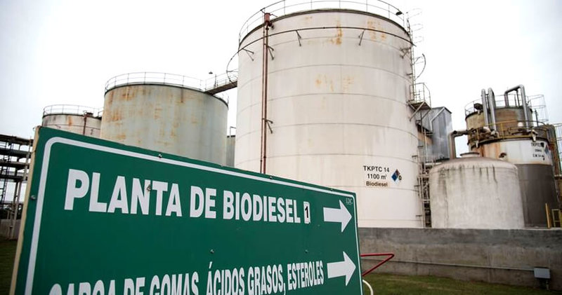 Producción de biodiésel cae y pierde exportaciones