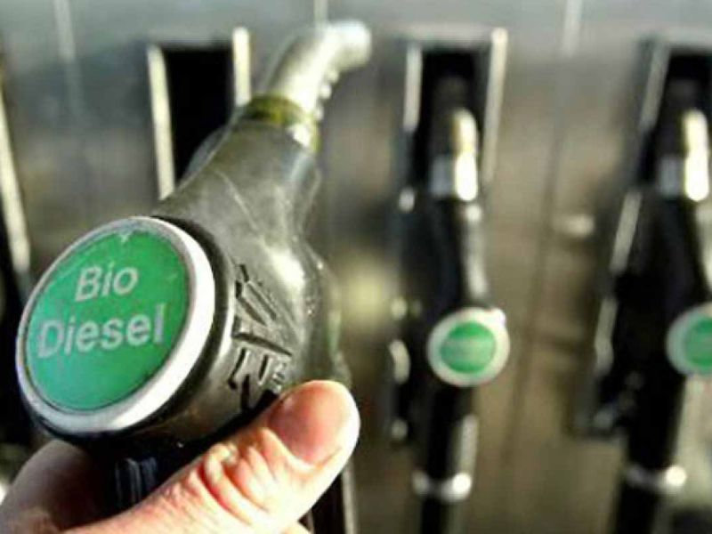 Producción de biodiésel cae y pierde exportaciones