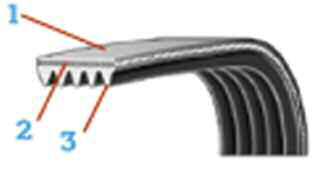 tap-153-correa-elastica-02