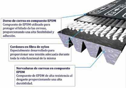 tap-153-correa-elastica-03