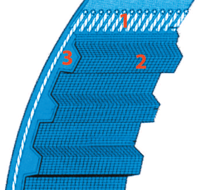 tap-147-correa-sincronica-02