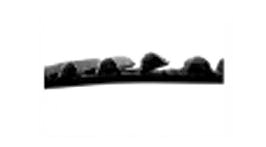 tap-149-correas-sincronicas-problemas-soluciones-02