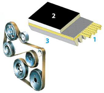 tap-150-correas-poly-v-02