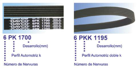 tap-150-correas-poly-v-03