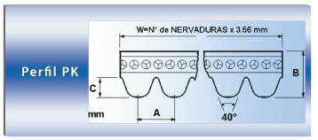 tap-150-correas-poly-v-04