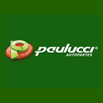 Paulucci - Quarter