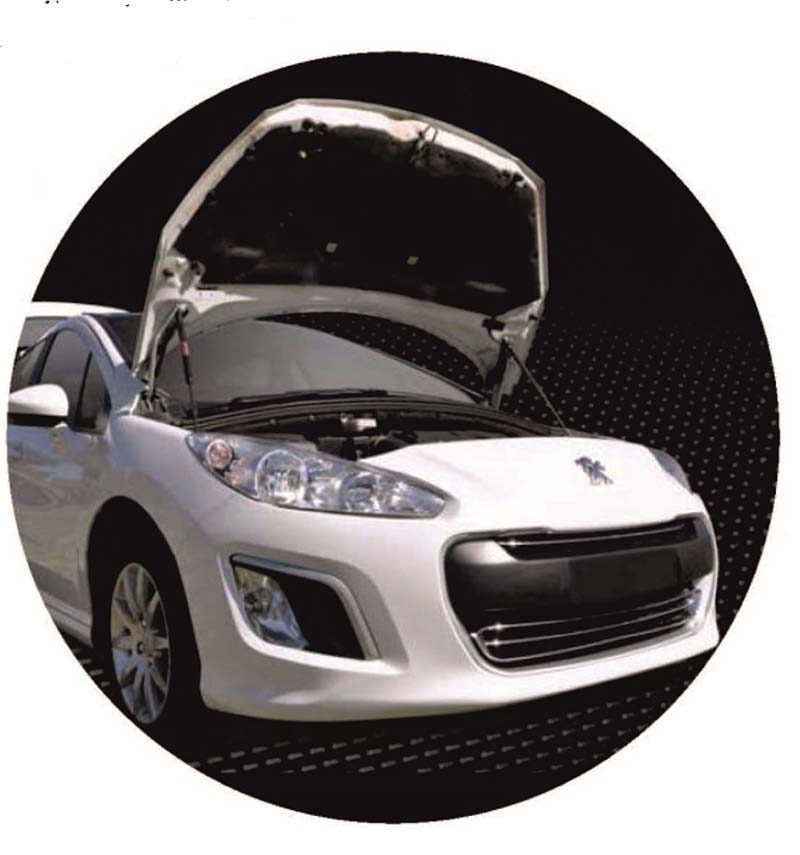 2019-02-22-expoyer-resortes-neumaticos-liftrgate-02