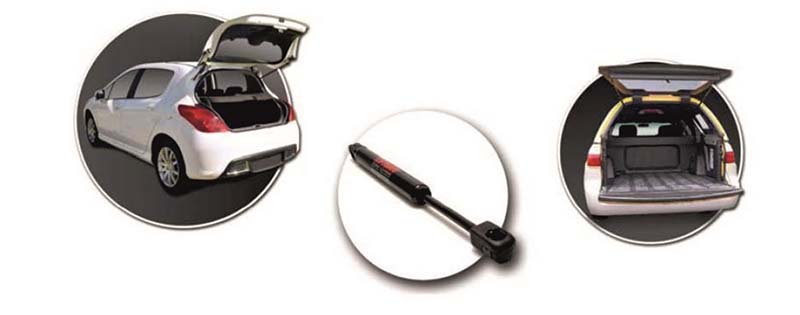 2019-02-22-expoyer-resortes-neumaticos-liftrgate-04